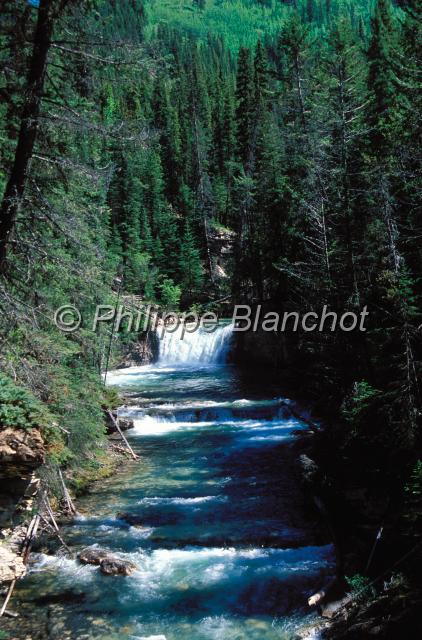 canada alberta 17.JPG - Kicking horse riverRivières et cascadesParc national de YohoColombie BritanniqueCanada